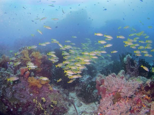 Nomad Divers Bangka Likupang Екстериор снимка